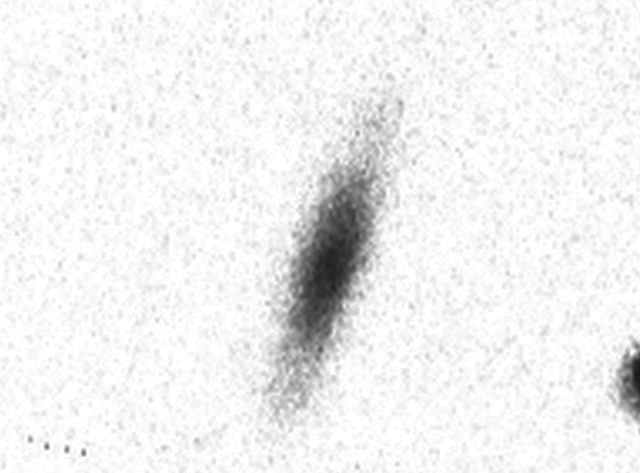 IC 4263.jpg